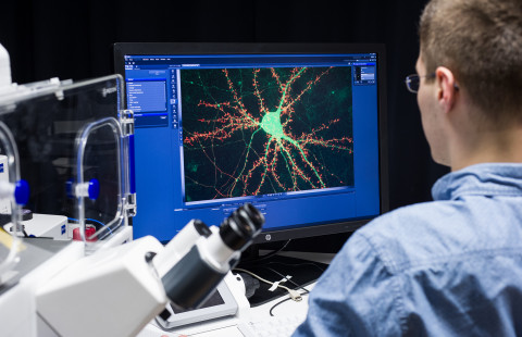 Neural cell on computer screen
