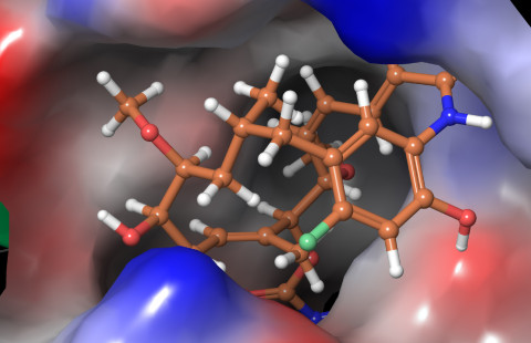 Molecular model on a computer screen.